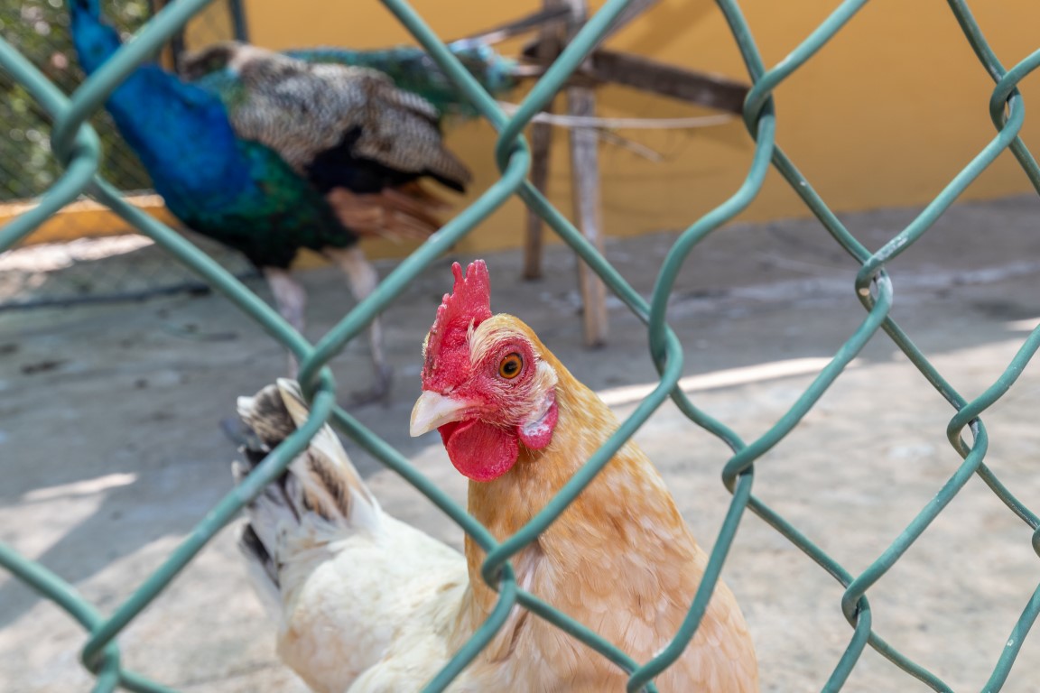 Quinta do Caracol