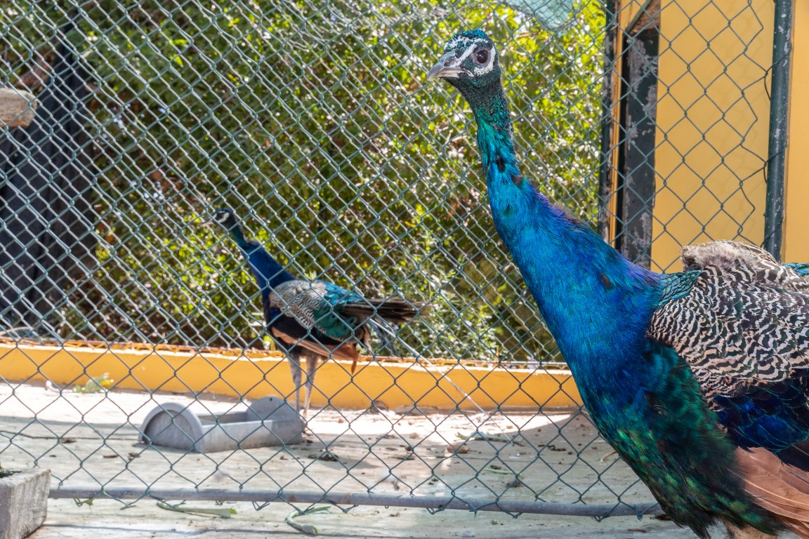 Quinta do Caracol